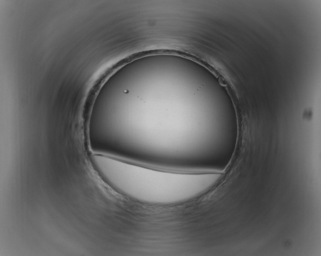X0000112851072200908281557