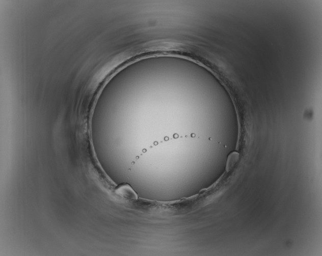 X0000112851073200908281557