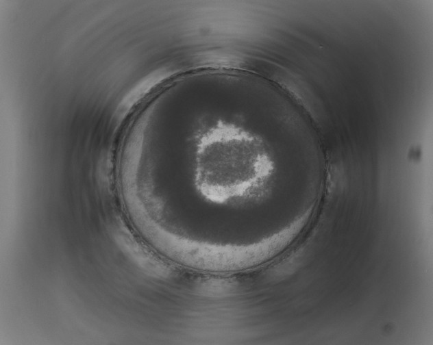 X0000112851074200908281557