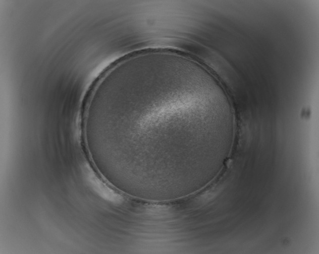 X0000112851076200908281557