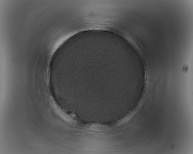 X0000112851077200908281557