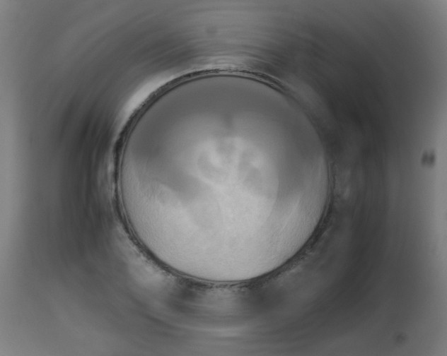 X0000112851078200908281557