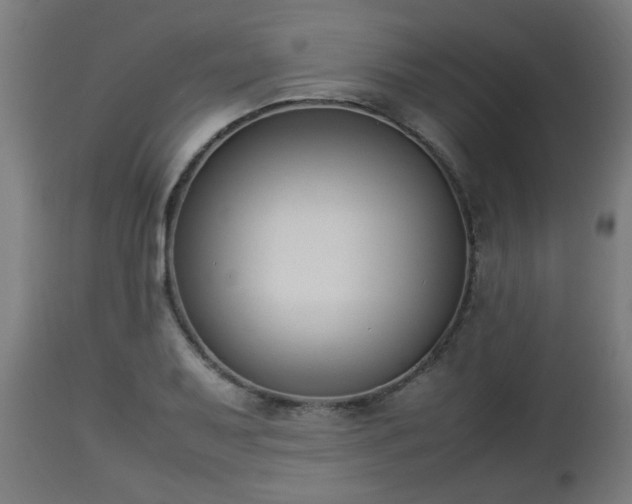 X0000112851079200908281557