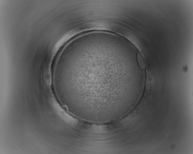 X0000112851080200908281557