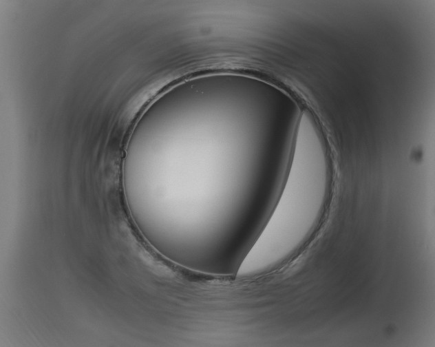 X0000112851081200908281557
