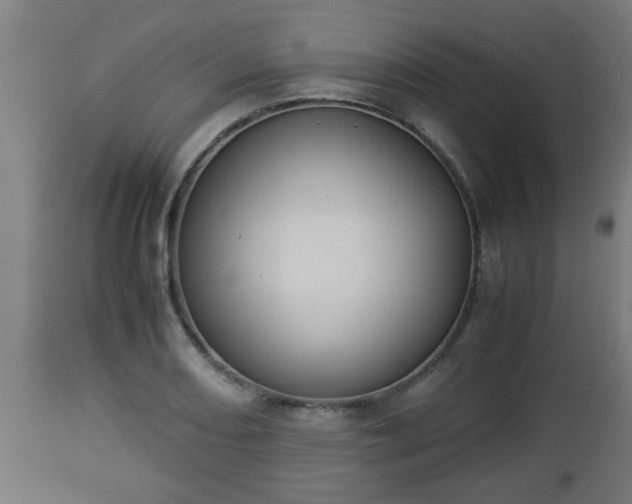 X0000112851082200908281557