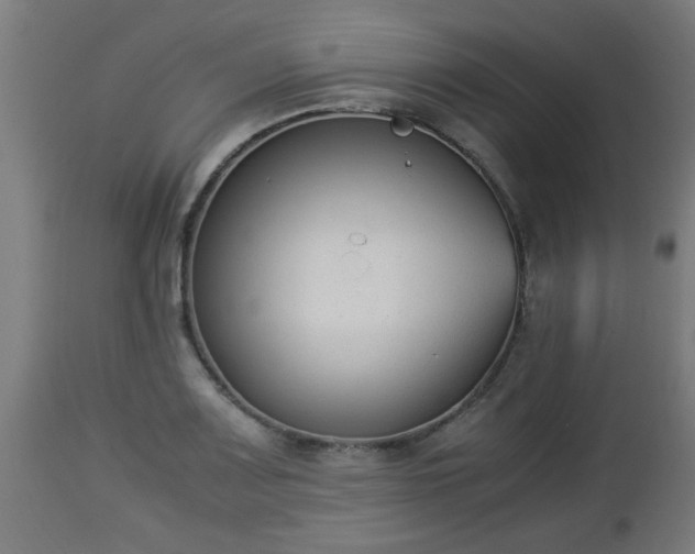 X0000112851083200908281557