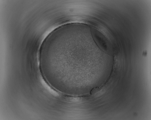 X0000112851084200908281557