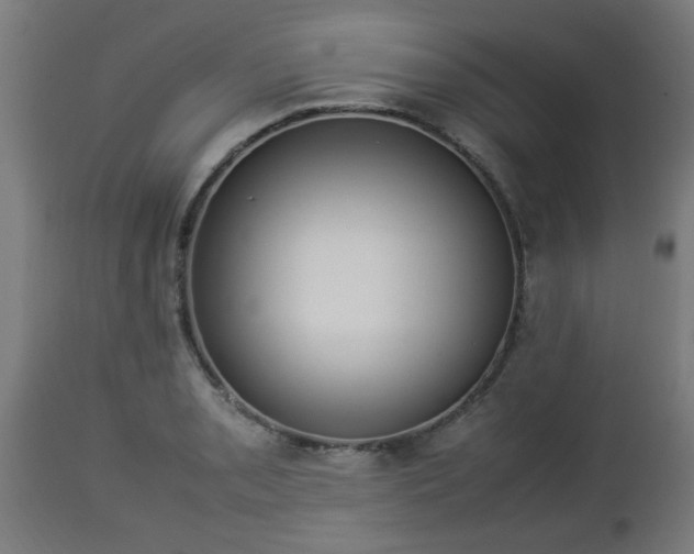 X0000112851085200908281557