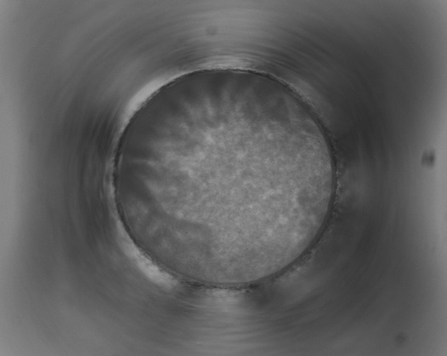 X0000112851086200908281557