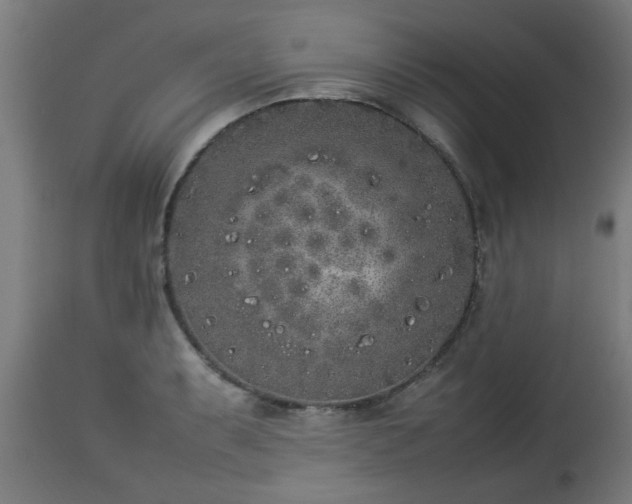 X0000112851087200908281557