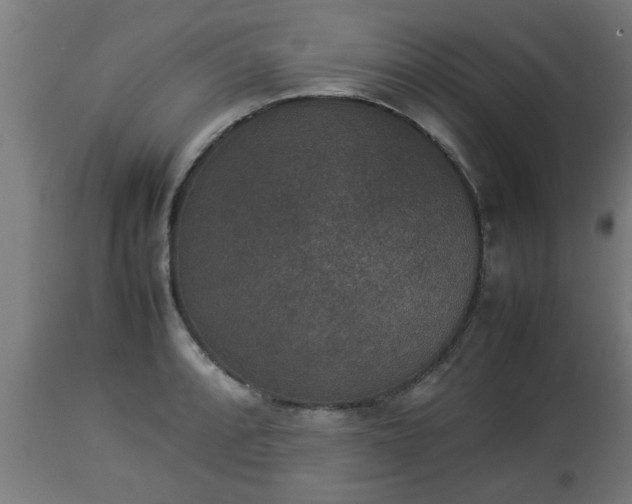 X0000112851088200908281557
