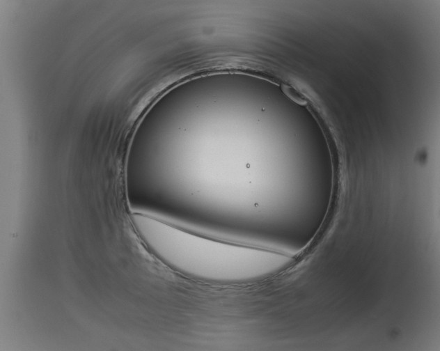 X0000112851089200908281557
