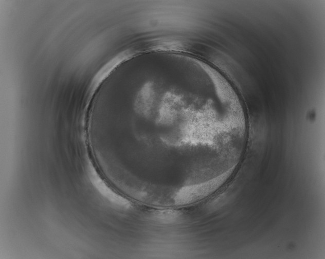 X0000112851090200908281557