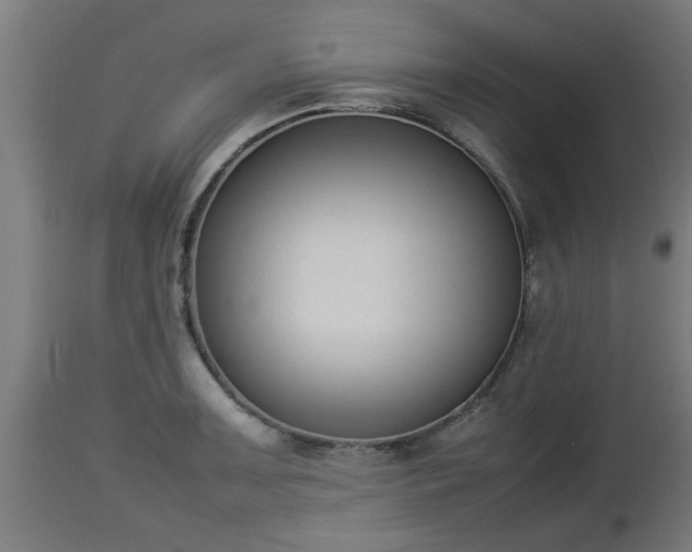 X0000112851091200908281557