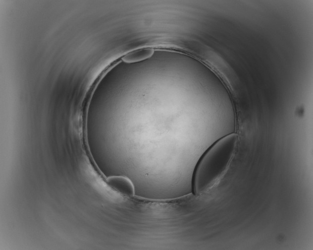 X0000112851092200908281557