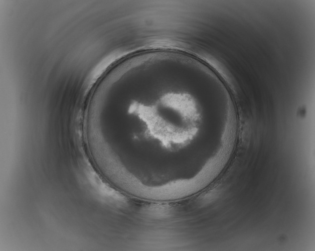 X0000112851094200908281557