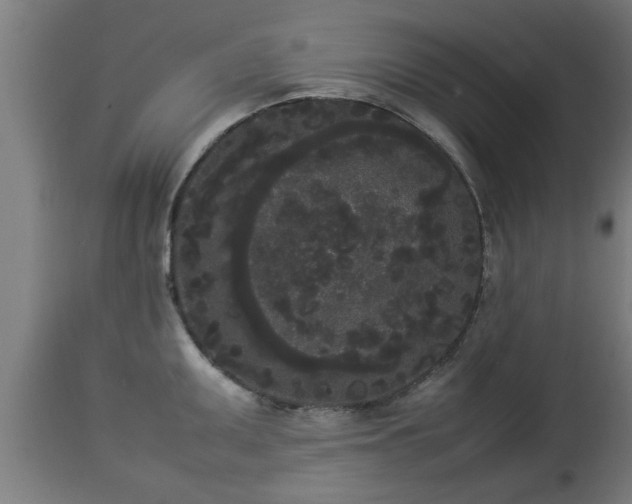 X0000112851095200908281557