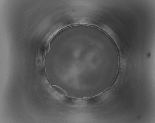 X0000112851097200908281557