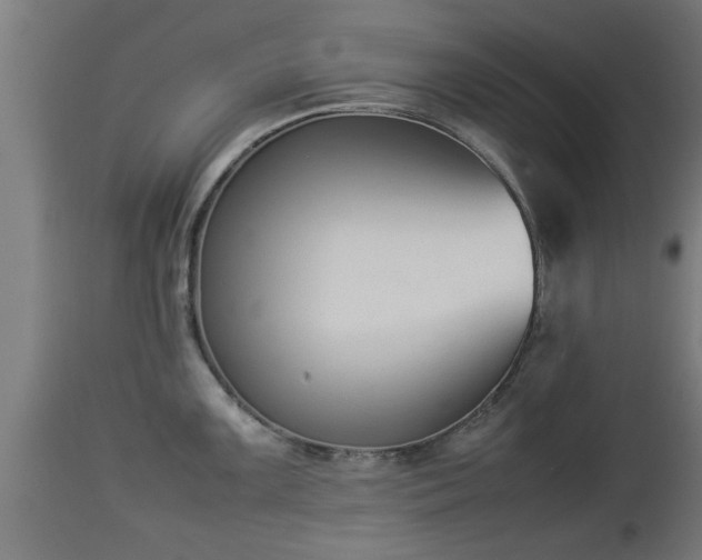X0000112851099200908281557