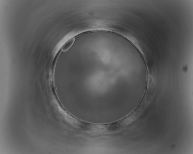 X0000112851101200908281557