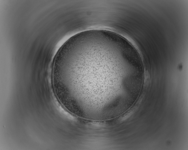 X0000112851102200908281557