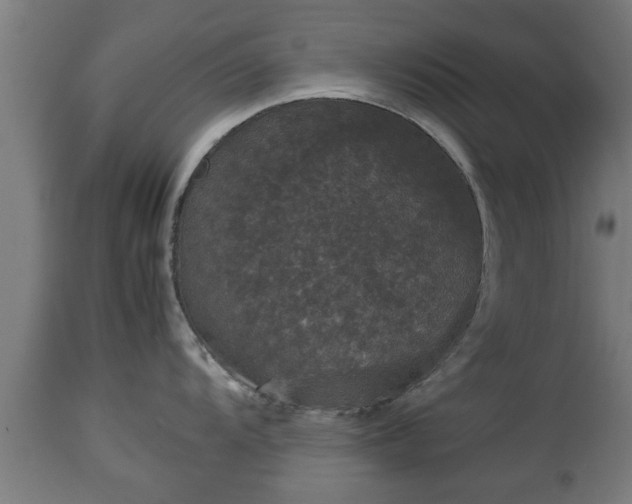 X0000112851104200908281557
