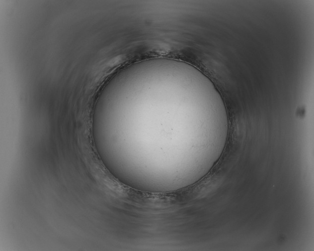X0000112851105200908281556