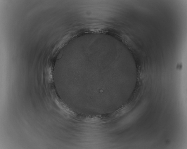 X0000112851106200908281556