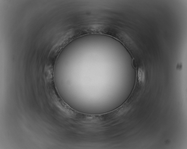 X0000112851107200908281556