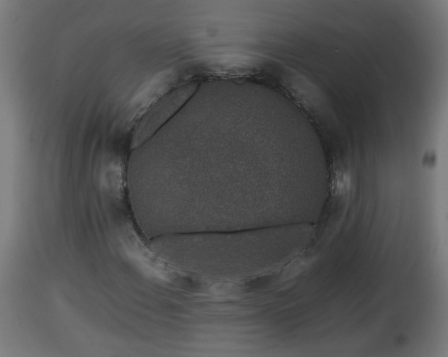 X0000112851108200908281556