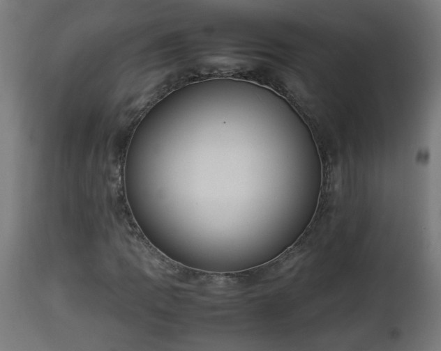 X0000112851109200908281556