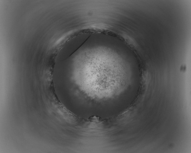 X0000112851110200908281556