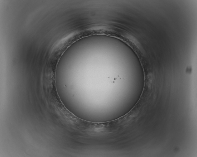 X0000112851111200908281556