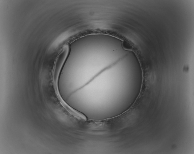 X0000112851112200908281556