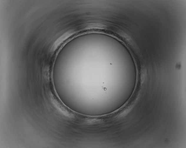 X0000112851113200908281556