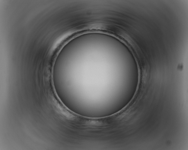 X0000112851115200908281556