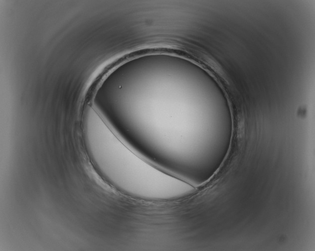 X0000112851116200908281556