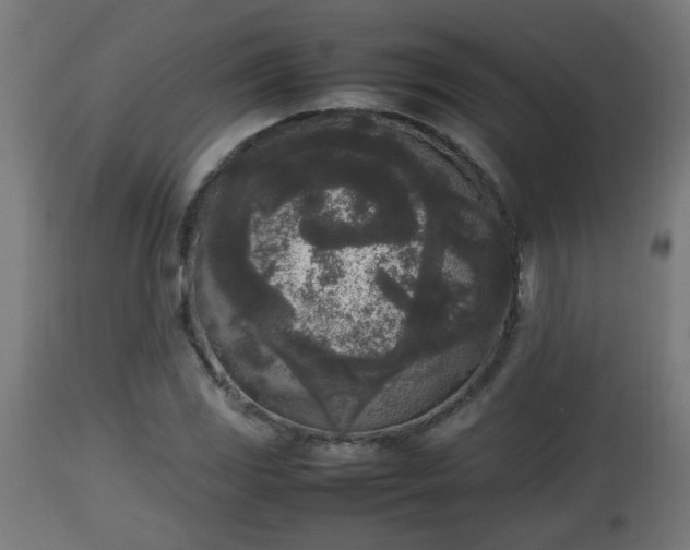 X0000112851117200908281557