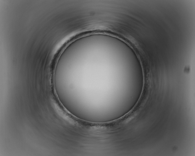 X0000112851118200908281557