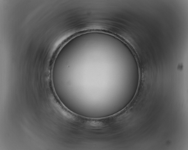 X0000112851119200908281557