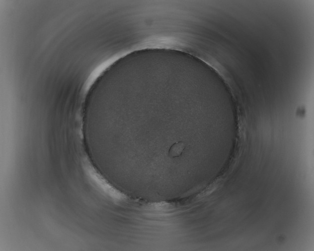 X0000112851120200908281557