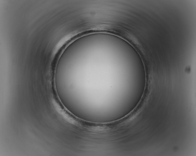 X0000112851122200908281557