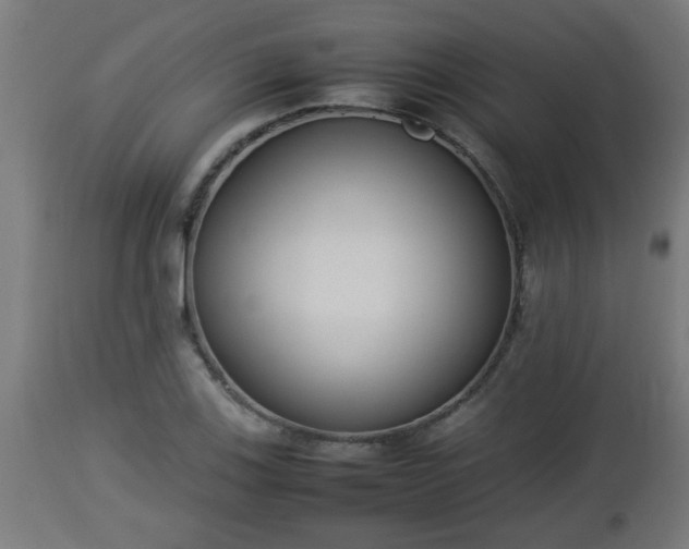 X0000112851123200908281557