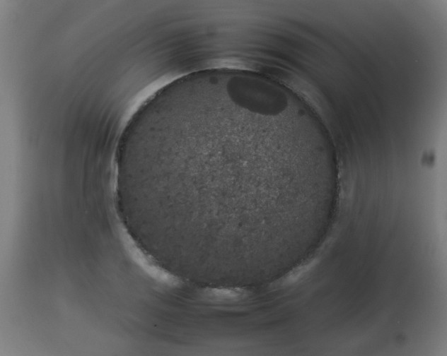 X0000112851125200908281557