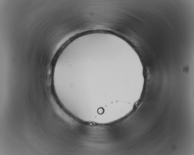 X0000112851126200908281557
