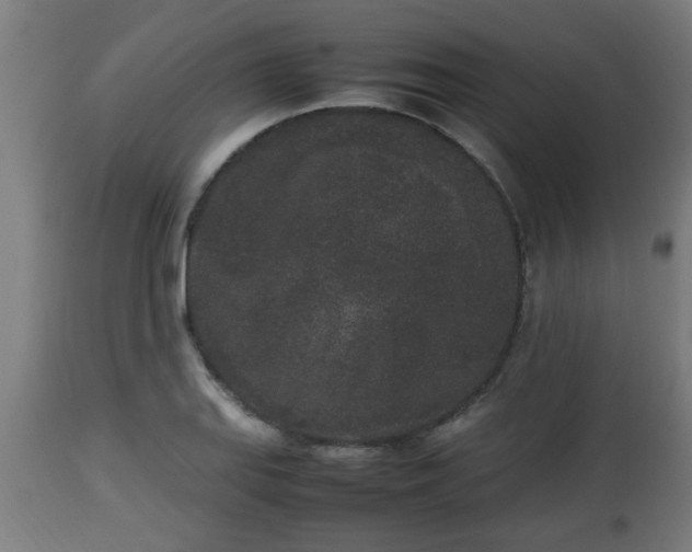 X0000112851127200908281557