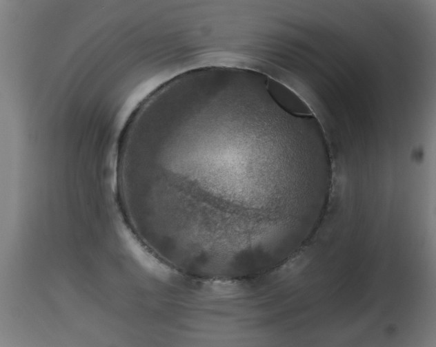 X0000112851128200908281557