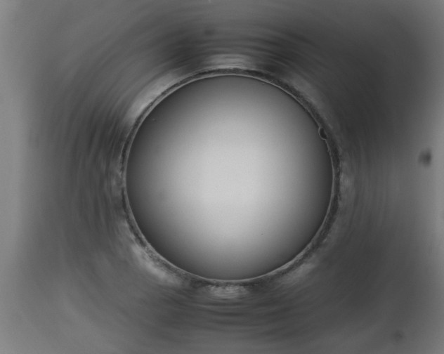 X0000112851129200908281557