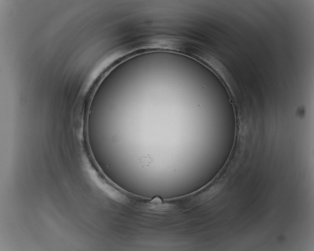 X0000112851131200908281557